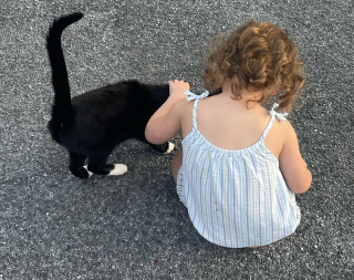 Illustration de l'article : La merveilleuse amitié entre une fillette malade et le chat du quartier qui prévient ses crises