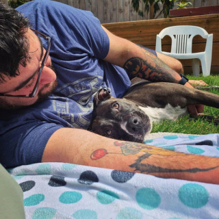 Illustration de l'article : 16 photos touchantes de papas qui ne voulaient pas d'animaux à la maison et qui en sont finalement tombés amoureux