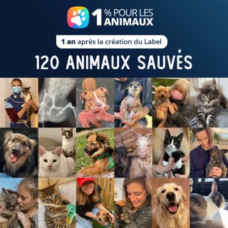 Illustration de l'article : Le Label « 1% Pour les Animaux » souffle sa première bougie et remercie ses mécènes pour tout ce qui a été accompli en une année