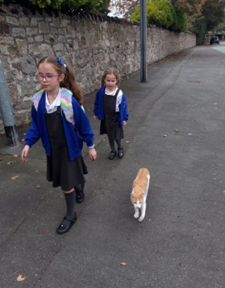 Illustration de l'article : Ce chat habitué à suivre ses jeunes maîtresses à l'école y a désormais son propre portrait