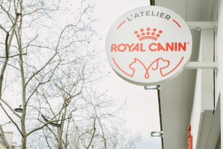 Illustration de l'article : Découvrez l’Atelier Royal Canin : un lieu d’expérience unique au service de l’animal et de son propriétaire