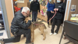 Illustration de l'article : Après avoir passé des mois en refuge, ce chien embrasse chacun des bénévoles pour leur dire au revoir (vidéo)