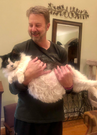 Illustration de l'article : Un chat, pesant près de 15 kilos, entame un parcours du combattant pour s’offrir une nouvelle vie (vidéo)