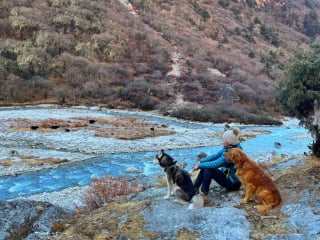 Illustration de l'article : 20 superbes photos de la virée d'un duo de chiens sur l'un des plus beaux sites naturels du Népal