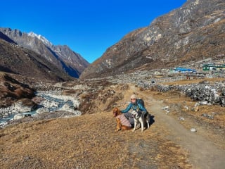 Illustration de l'article : 20 superbes photos de la virée d'un duo de chiens sur l'un des plus beaux sites naturels du Népal