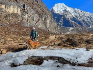 Illustration de l'article : 20 superbes photos de la virée d'un duo de chiens sur l'un des plus beaux sites naturels du Népal