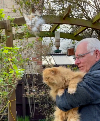 Illustration de l'article : La vidéo touchante d'un chat faisant don de sa fourrure aux oiseaux du jardin devient virale