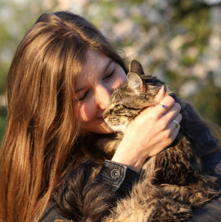 Illustration de l'article : Gêné par la relation entre son épouse et son chat, un homme commet l'irréparable en se débarrassant de l'animal