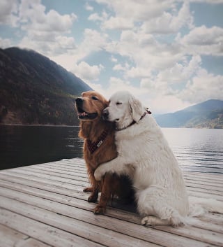 Illustration de l'article : 20 portraits d'animaux si photogéniques qu'on ne peut ne pas en tomber amoureux