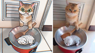 Illustration de l'article : 20 photos de chats transformées en illustrations originales et amusantes