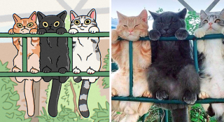 Illustration de l'article : 20 photos de chats transformées en illustrations originales et amusantes