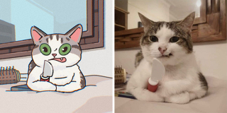 Illustration de l'article : 20 photos de chats transformées en illustrations originales et amusantes