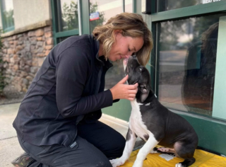 Illustration de l'article : Une technicienne vétérinaire découvre un chiot blessé attendant seul devant la porte du refuge (vidéo)