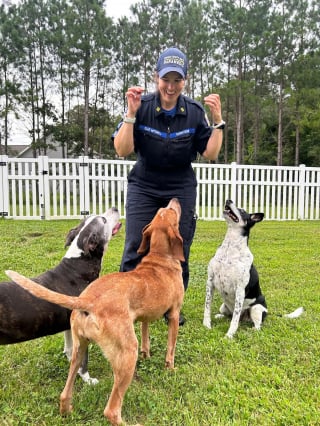 Illustration de l'article : Cette chienne de refuge a attendu la famille de ses rêves pendant 11 longues années