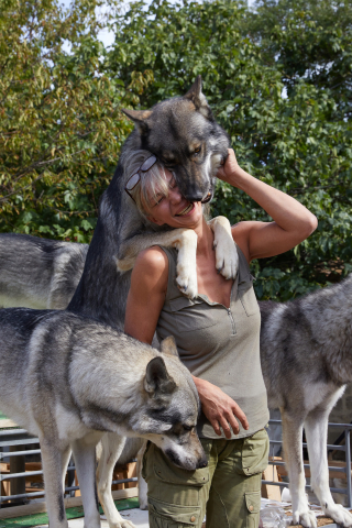 Illustration de l'article : Des chiens dévoués font tout leur possible pour sauver leur maîtresse piquée par un frelon et deviennent ses héros !