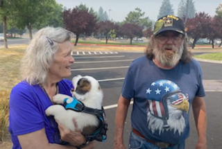 Illustration de l'article : Un chien d'assistance en herbe rencontre sa nouvelle famille après un formidable élan de solidarité
