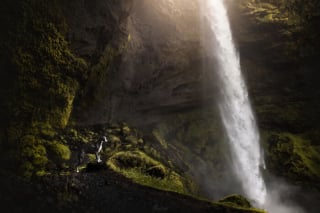 Illustration de l'article : 20 photos exceptionnelles de chiens capturant leur beauté et celle de l'Islande