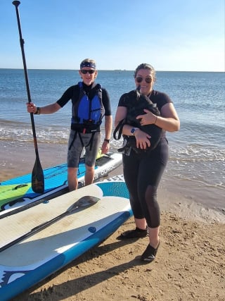 Illustration de l'article : Une chienne piégée par la marée montante place tous ses espoirs entre les mains de paddlers