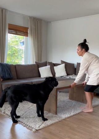 Illustration de l'article : Pour apaiser son chien malade, une femme quitte son travail et lui offre la plus belle des journées (vidéo)
