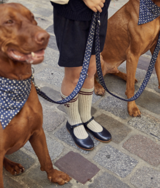 Illustration de l'article : Sublimez votre chat ou chien avec la collection raffinée « Jeux d'enfants » signée Bonpoint et French Bandit