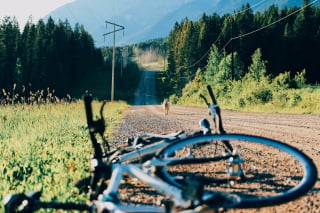 Illustration de l'article : Le mystère du chien abandonné au bord d'une route aux côtés d'un vélomoteur est résolu