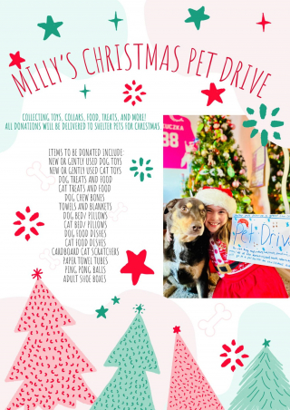 Illustration de l'article : Une fillette de 9 ans rend hommage à sa chienne décédée en offrant un Noël mémorable aux animaux d'un refuge