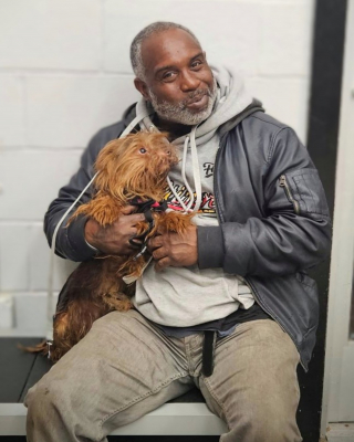 Illustration de l'article : Des bénévoles découvrent un chien errant et apprennent via sa puce qu'il a disparu 5 ans plus tôt