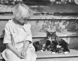 Illustration de l'article : 20 photos anciennes de chats, prenant la pose avec des personnages célèbres ou non