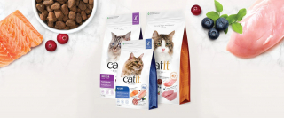Illustration de l'article : De l'innovation dans les gamelles de vos chats avec une nouvelle gamme d'alimentation lancée par Catit