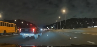 Illustration de l'article : Des automobilistes tentent de capturer un Chihuahua courant à vive allure au beau milieu d’une autoroute (vidéo)