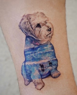 Illustration de l'article : 20 tatouages exceptionnels célébrant l'amour qu'ont les humains pour leurs chiens et chats