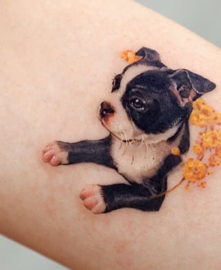 Illustration de l'article : 20 tatouages exceptionnels célébrant l'amour qu'ont les humains pour leurs chiens et chats