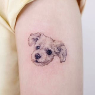 Illustration de l'article : 20 tatouages exceptionnels célébrant l'amour qu'ont les humains pour leurs chiens et chats