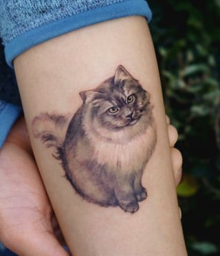 Illustration de l'article : 20 tatouages exceptionnels célébrant l'amour qu'ont les humains pour leurs chiens et chats