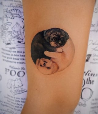 Illustration de l'article : 20 tatouages exceptionnels célébrant l'amour qu'ont les humains pour leurs chiens et chats