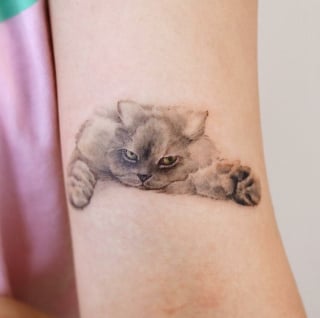 Illustration de l'article : 20 tatouages exceptionnels célébrant l'amour qu'ont les humains pour leurs chiens et chats