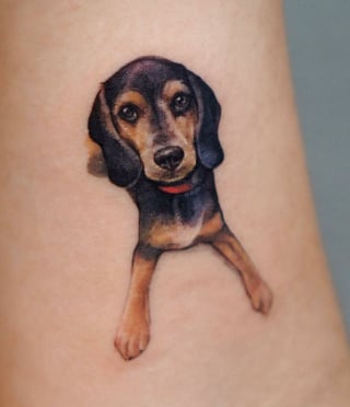 Illustration de l'article : 20 tatouages exceptionnels célébrant l'amour qu'ont les humains pour leurs chiens et chats