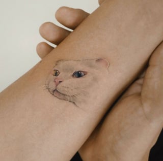 Illustration de l'article : 20 tatouages exceptionnels célébrant l'amour qu'ont les humains pour leurs chiens et chats