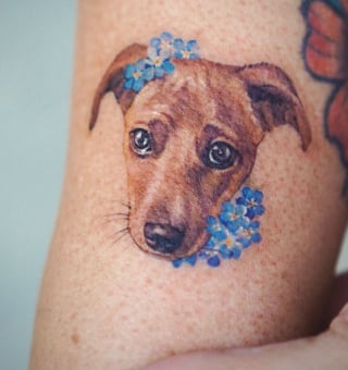 Illustration de l'article : 20 tatouages exceptionnels célébrant l'amour qu'ont les humains pour leurs chiens et chats