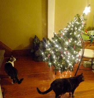 Illustration de l'article : 20 photos confirmant que la relation entre les chats et les sapins de Noël est inévitablement tumultueuse