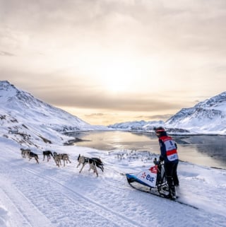 Illustration de l'article : Découvrez les nouveautés et le parcours exceptionnel de la 20e édition de La Grande Odyssée VVF, le rendez-vous incontournable des passionnés des chiens de traîneaux