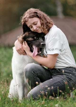 Illustration de l'article : 11 règles d'or à respecter avant d'approcher un chien pour la première fois