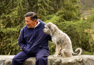 Illustration de l'article : 11 règles d'or à respecter avant d'approcher un chien pour la première fois