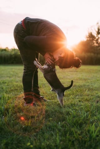 Illustration de l'article : 6 idées-reçues à propos des chiens, auxquelles il ne faudrait vraiment pas prêter attention