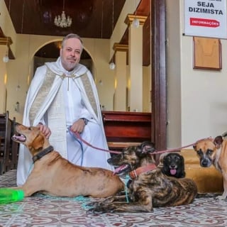 Illustration de l'article : 18 photos de chiens de refuges proposés à l'adoption lors de la messe d'un prêtre amoureux des animaux