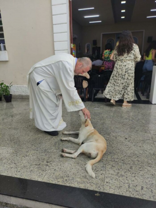 Illustration de l'article : 18 photos de chiens de refuges proposés à l'adoption lors de la messe d'un prêtre amoureux des animaux