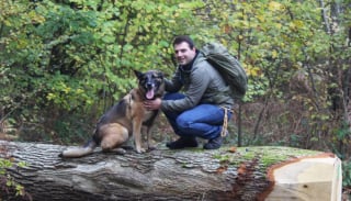 Illustration de l'article : Un chien secouru par une association devient héros à son tour en sauvant la vie d’une dame en pleine forêt