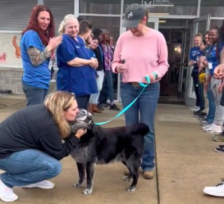 Illustration de l'article : Les adieux émouvants d’un refuge à un chien sénior rejoignant sa famille éternelle ont fait fondre les internautes (vidéo)