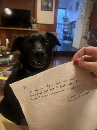 Illustration de l'article : En rentrant chez elle, elle tombe sur un surprenant message au sujet de son chien de la part de voisins bienveillants