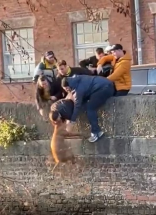 Illustration de l'article : Un étudiant surprend un chien pris au piège dans un canal et décide de se jeter à l’eau (vidéo)